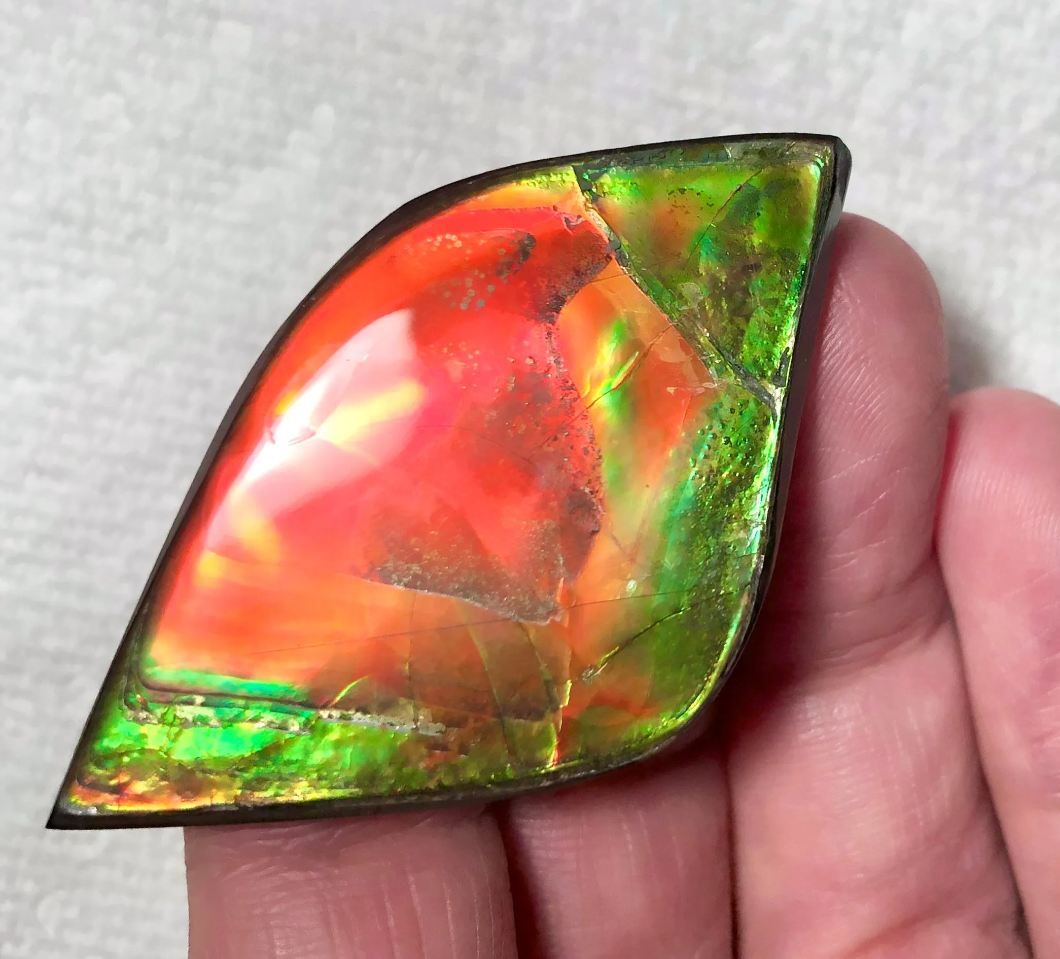 50x27.5mm  Color Changer! Natural  Free Form . FFNT 154 Ammolite  ナチュラル　ルース　アンモライト