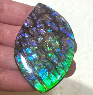 57 x35mm mm  High Grade Natural  Free Form . FFNT 153 Ammolite  ナチュラル　ルース　アンモライト