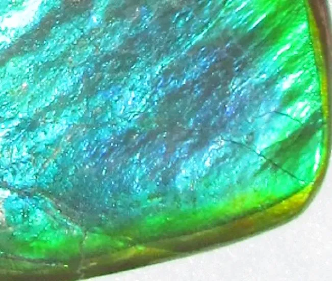 66  x 38 mm  Natural  Free Form . FFN 339 Ammolite  ナチュラル　ルース　アンモライト