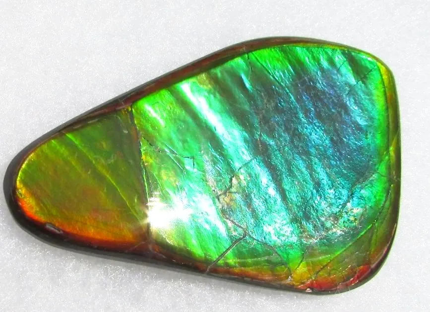 66  x 38 mm  Natural  Free Form . FFN 339 Ammolite  ナチュラル　ルース　アンモライト