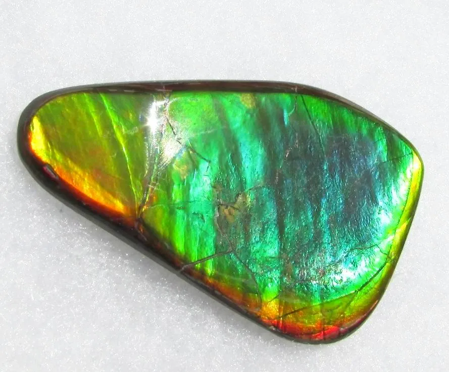 66  x 38 mm  Natural  Free Form . FFN 339 Ammolite  ナチュラル　ルース　アンモライト