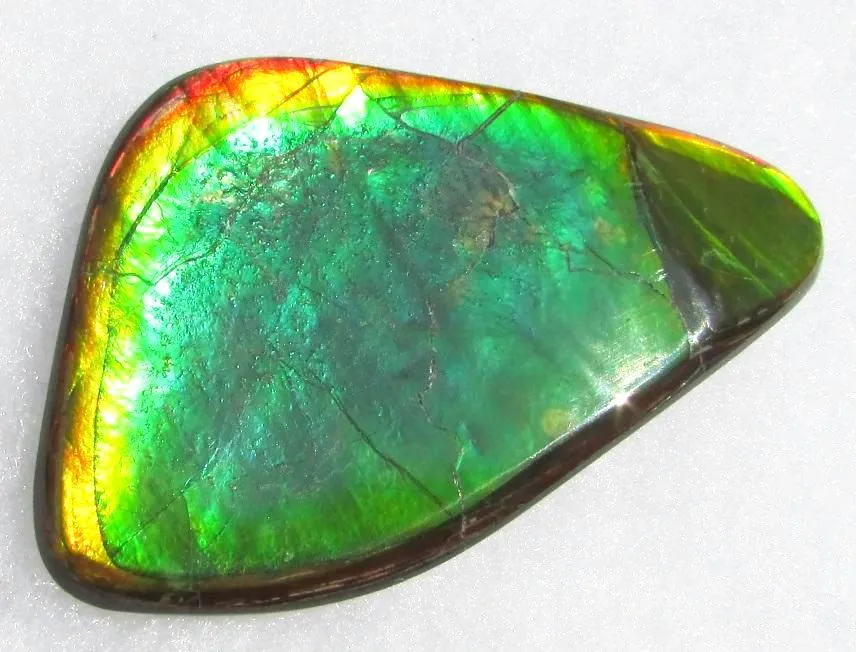 66  x 38 mm  Natural  Free Form . FFN 339 Ammolite  ナチュラル　ルース　アンモライト
