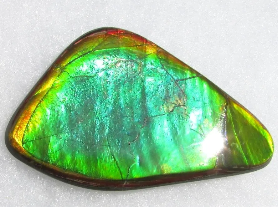 66  x 38 mm  Natural  Free Form . FFN 339 Ammolite  ナチュラル　ルース　アンモライト