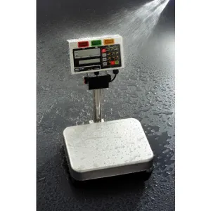 A&D FS-30KiN Checkweighing Scale (NTEP# 07-104)
