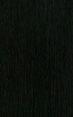 AFRO WIG by Janet Collection