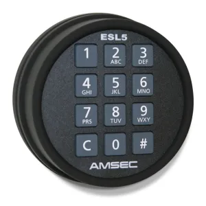 American Security ESL5 Lock Option