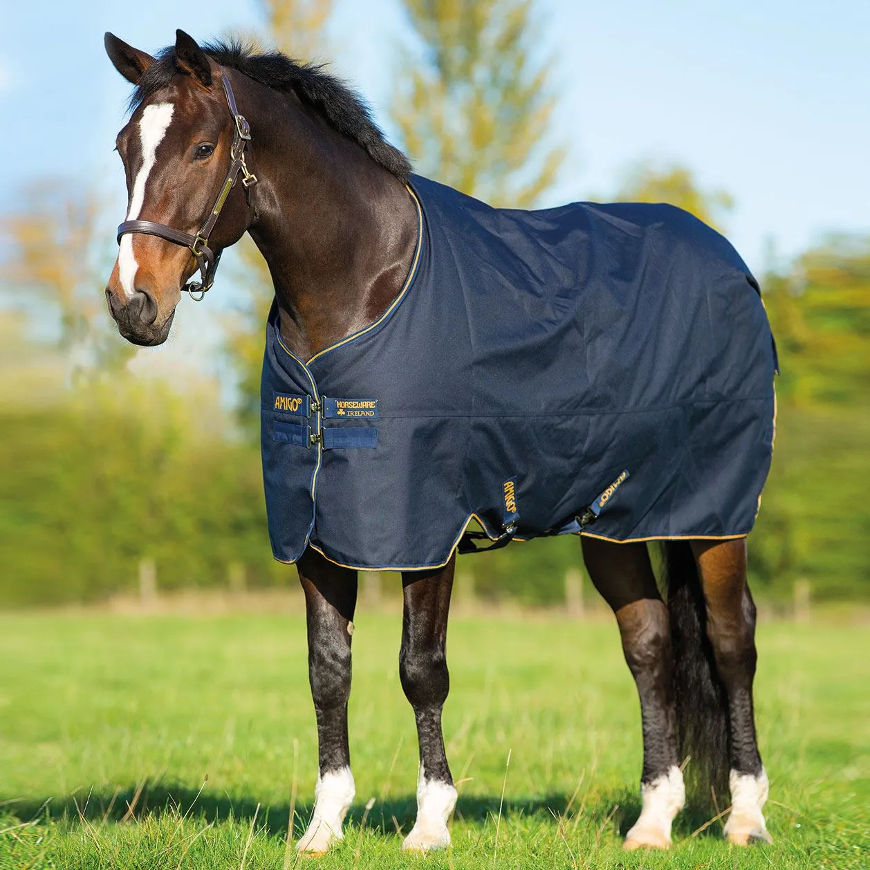Amigo Bravo 12 XL Turnout Medium Weight