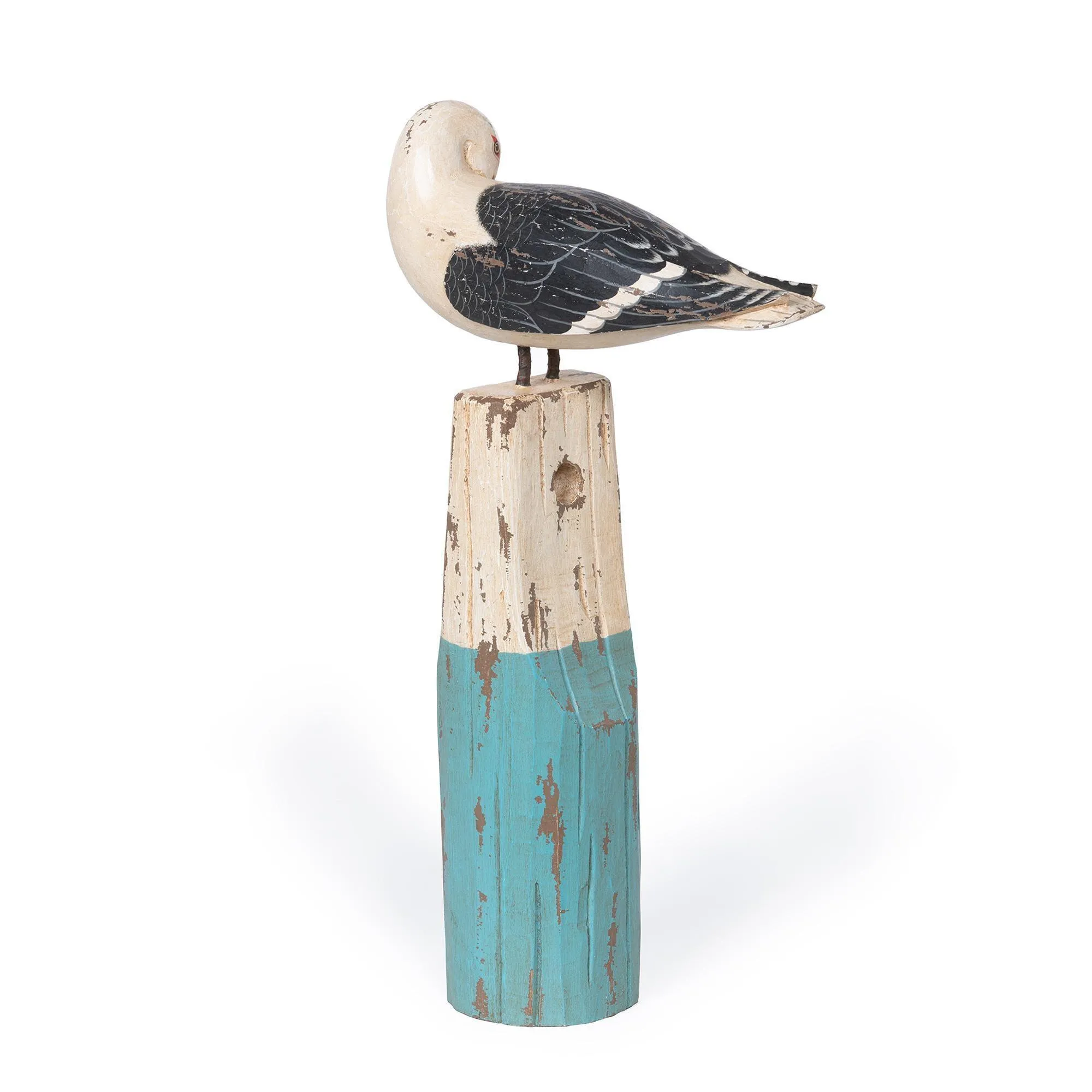 Black-Tailed Gull on Buoy