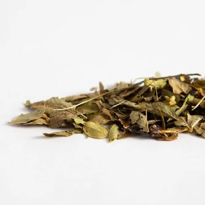 Blueberry Time Machine: Antioxidant Tea