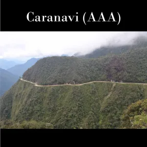 Bolivia FTO (AAA) (Caranavi) Available in CA, NJ & Salisbury, MA. NEW CROP!