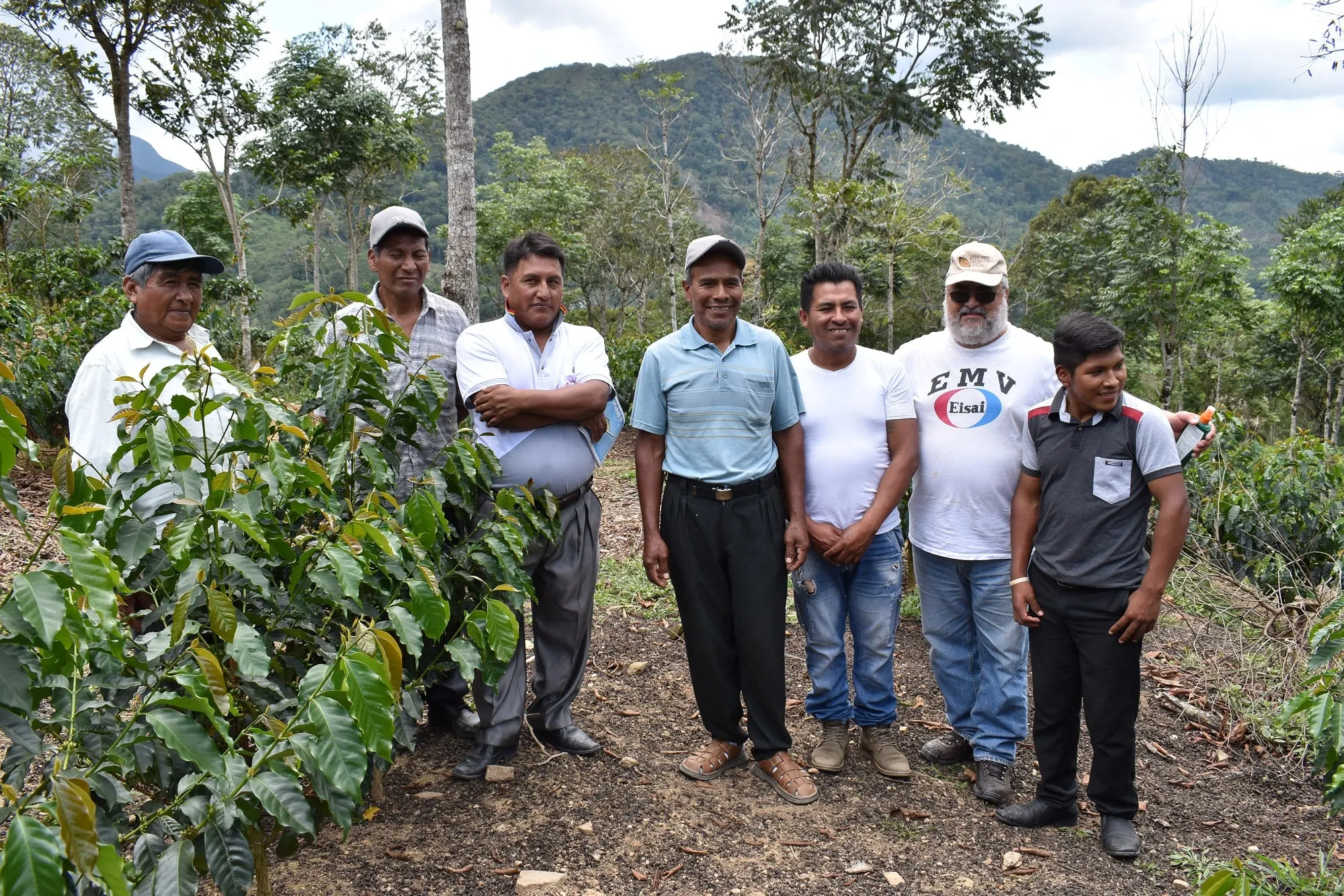Bolivia Microlot: Alberto Mamani -San Ignacio. Available only at the Annex (CA) & Salisbury, MA. NEW FARMER!