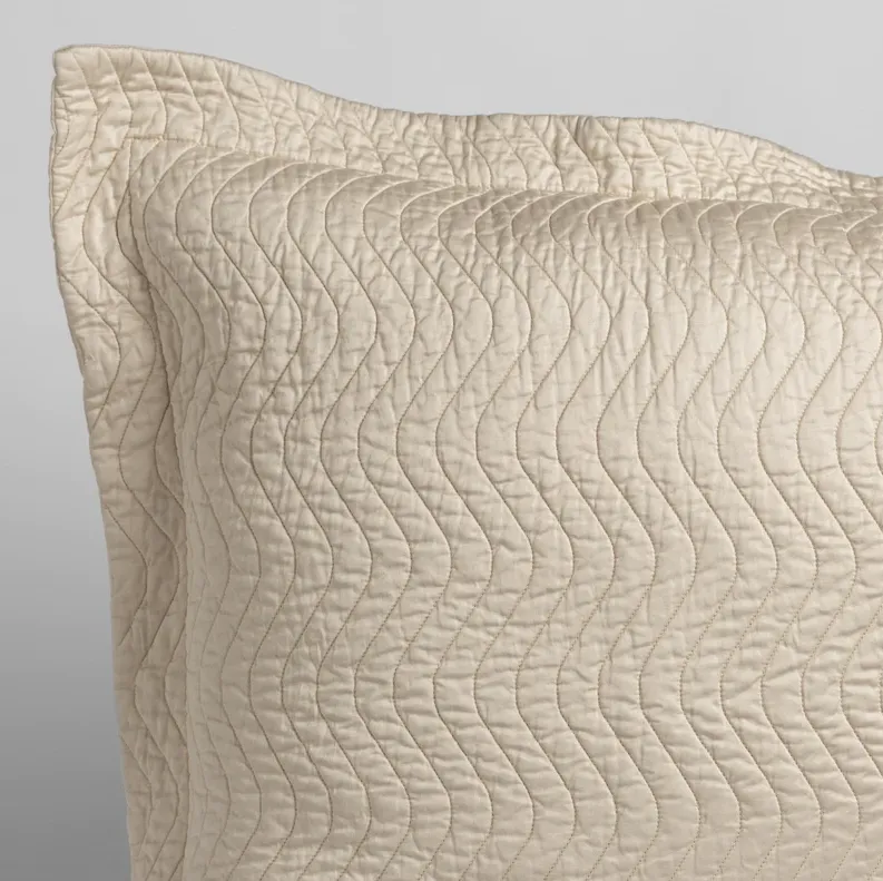Cirillo Accent Pillow