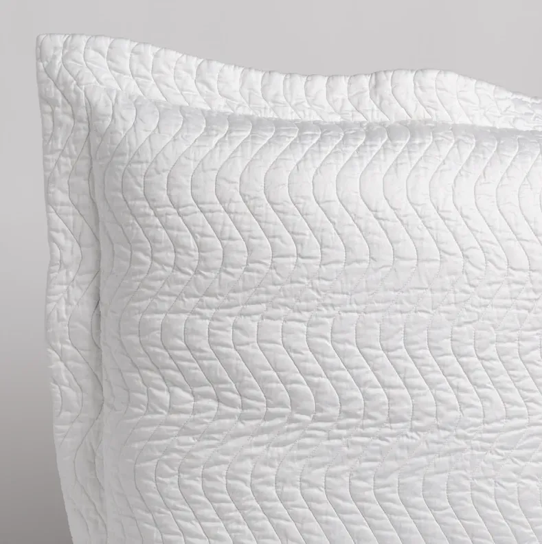 Cirillo Accent Pillow