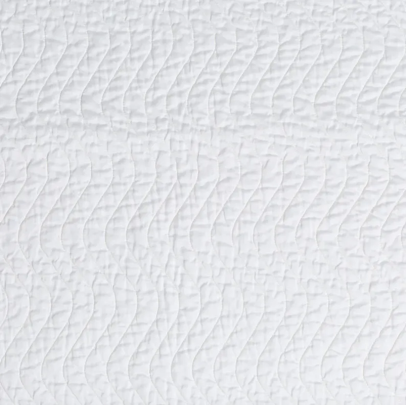 Cirillo Accent Pillow