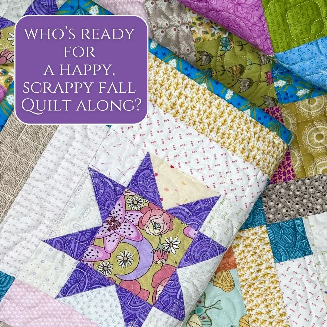 Evening Glow Quilt Kit, APQ Issue 191, Serendipity Woods Scrappy Version, Pattern by Sarah Maxwell, 84 1/2" Square