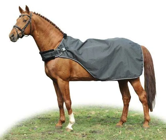 HKM Horse Walker Rug Carvis