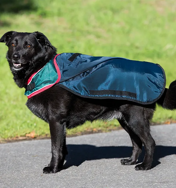 Horseware Ireland Rambo Waterproof Dog Blanket