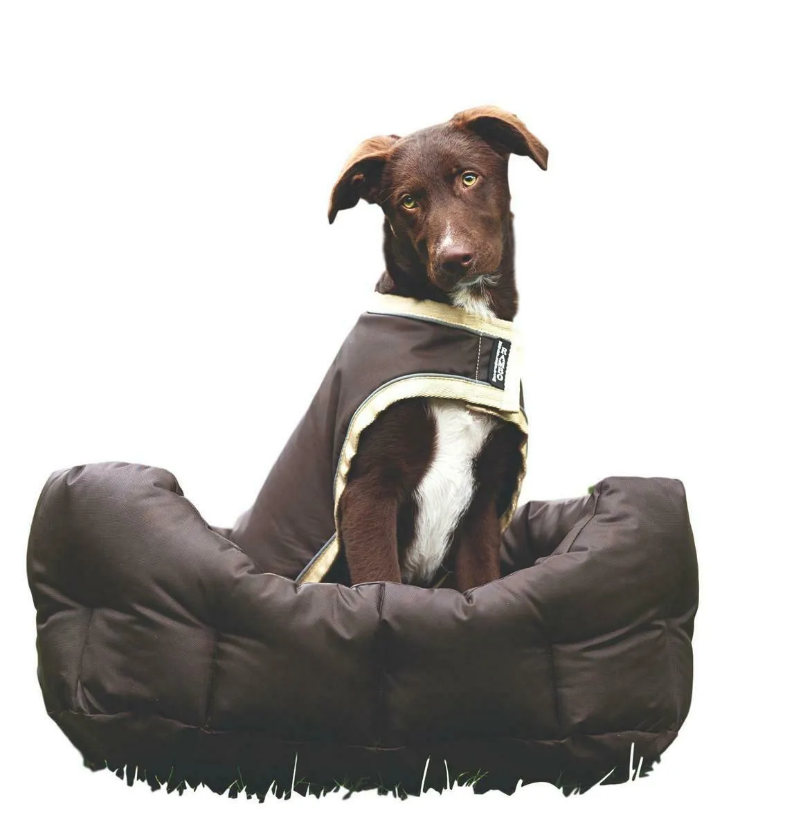 Horseware Ireland Rambo Waterproof Dog Blanket