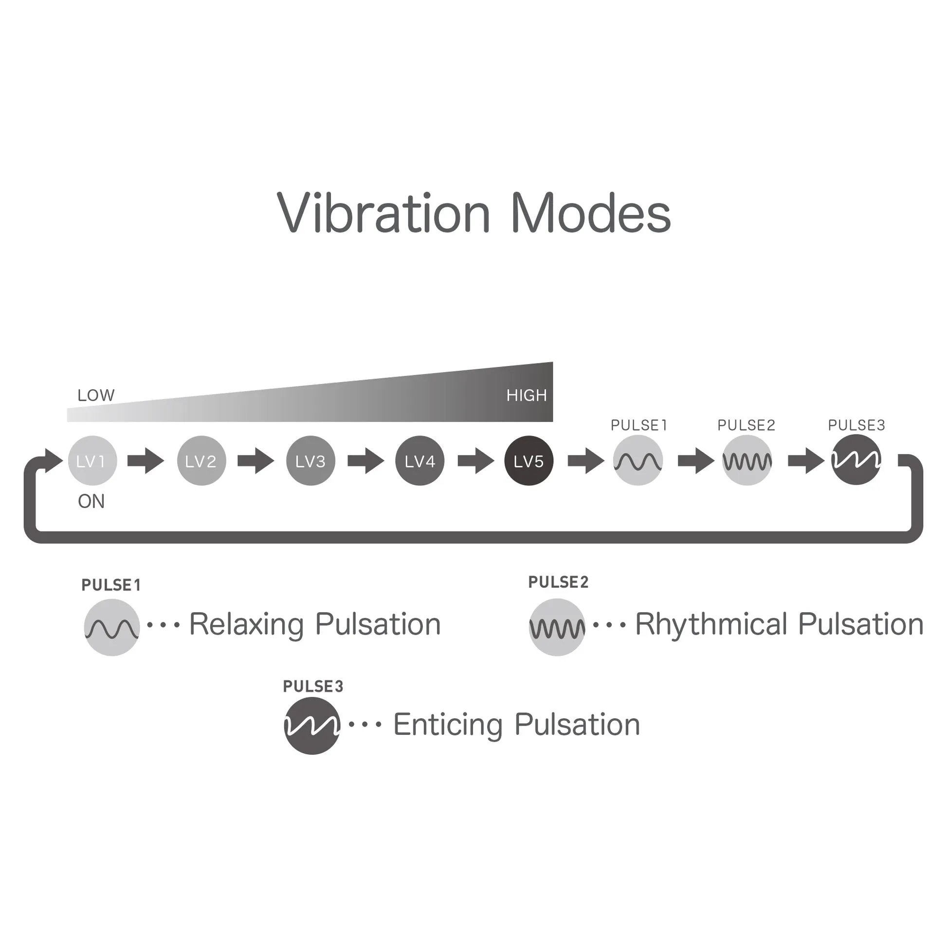 Iroha  | Tori | vibrator
