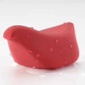 Iroha  | Tori | vibrator