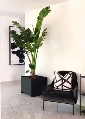 Loft Box Indoor Planter