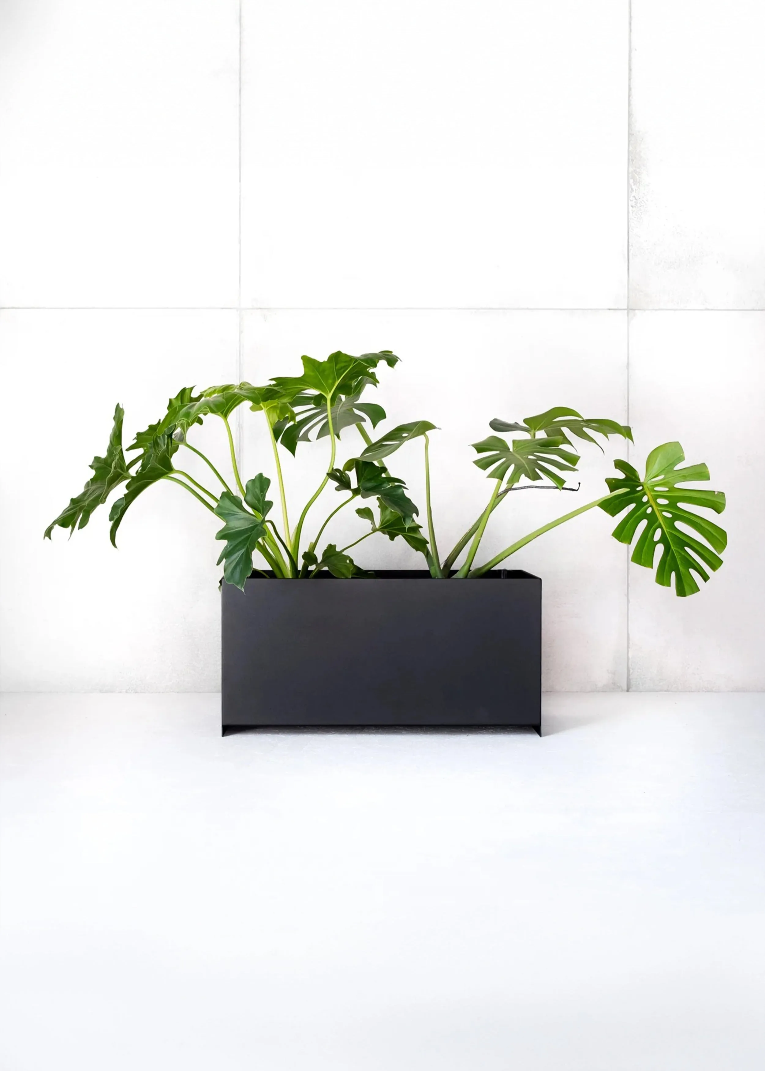 Loft Box Indoor Planter