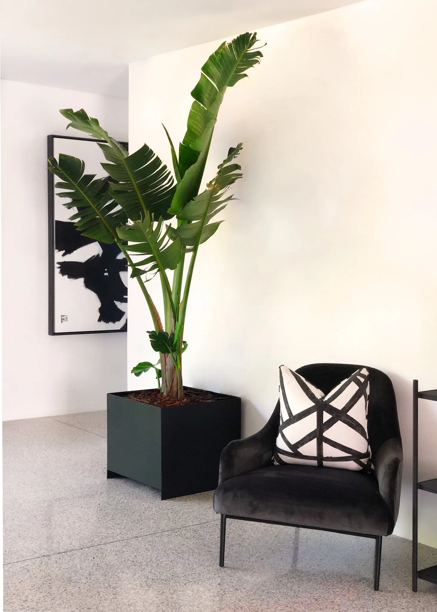 Loft Box Indoor Planter