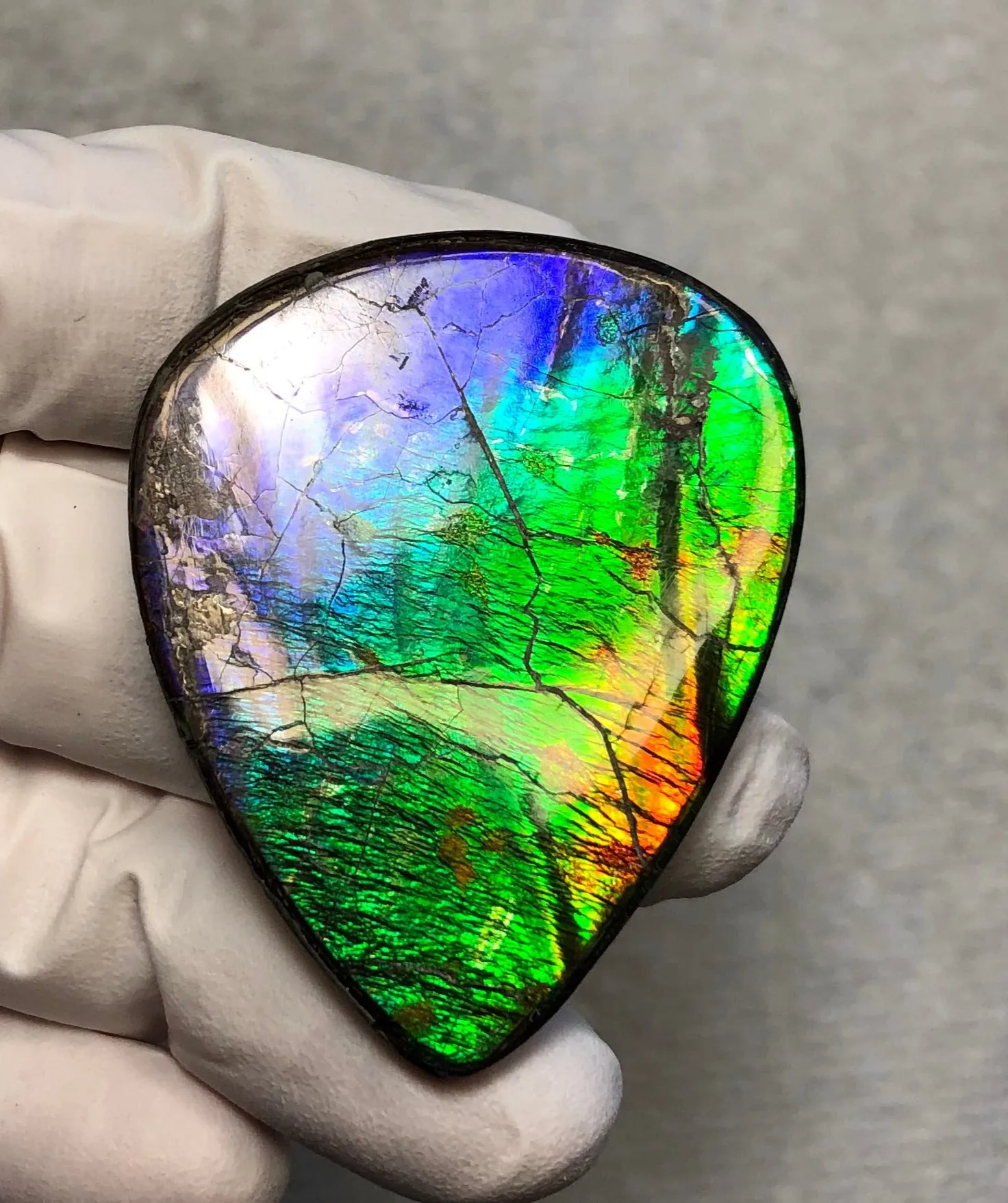 Natural hand polished, Free Form . FFNT169 Ammolite High Grade.