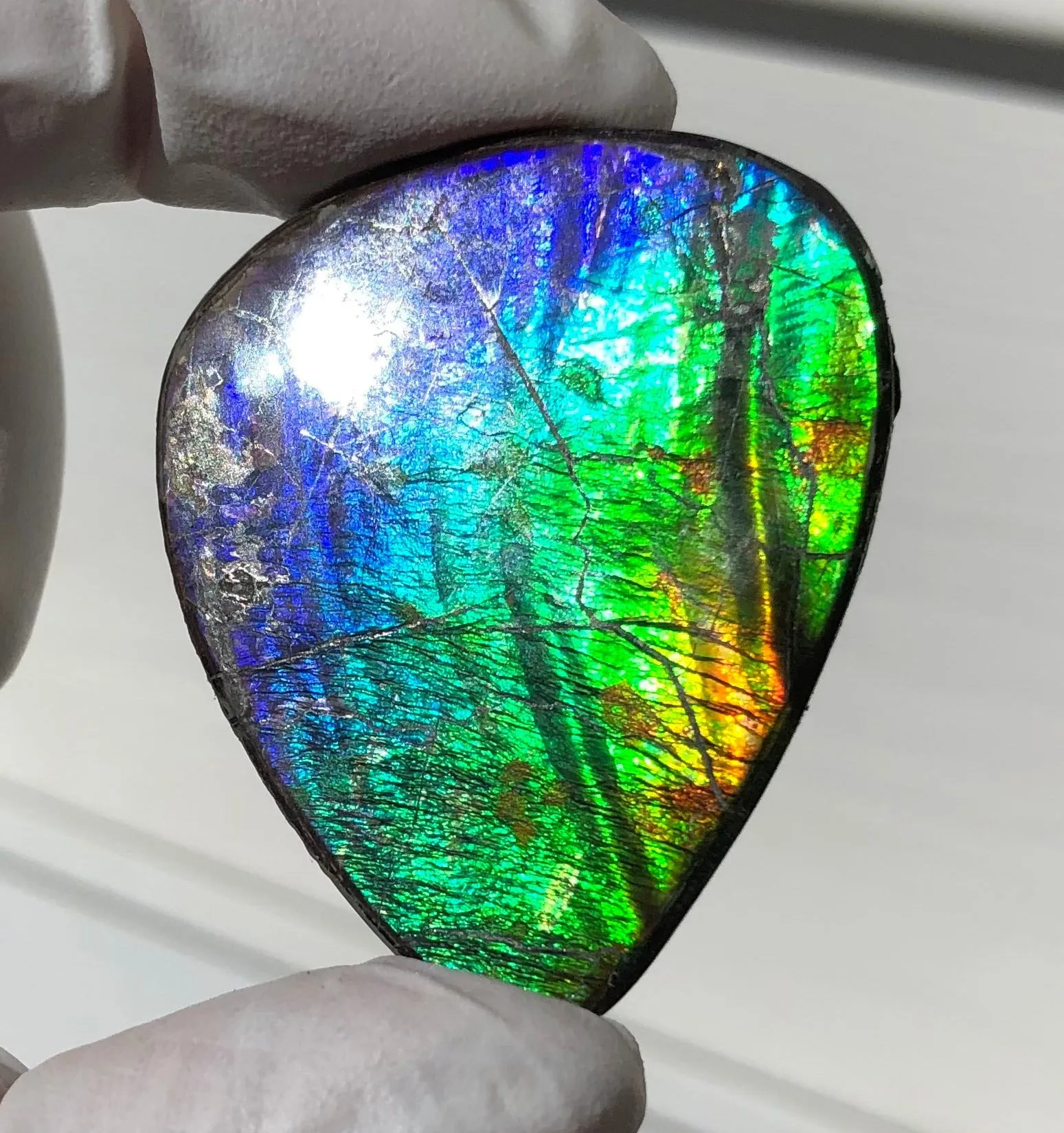Natural hand polished, Free Form . FFNT169 Ammolite High Grade.