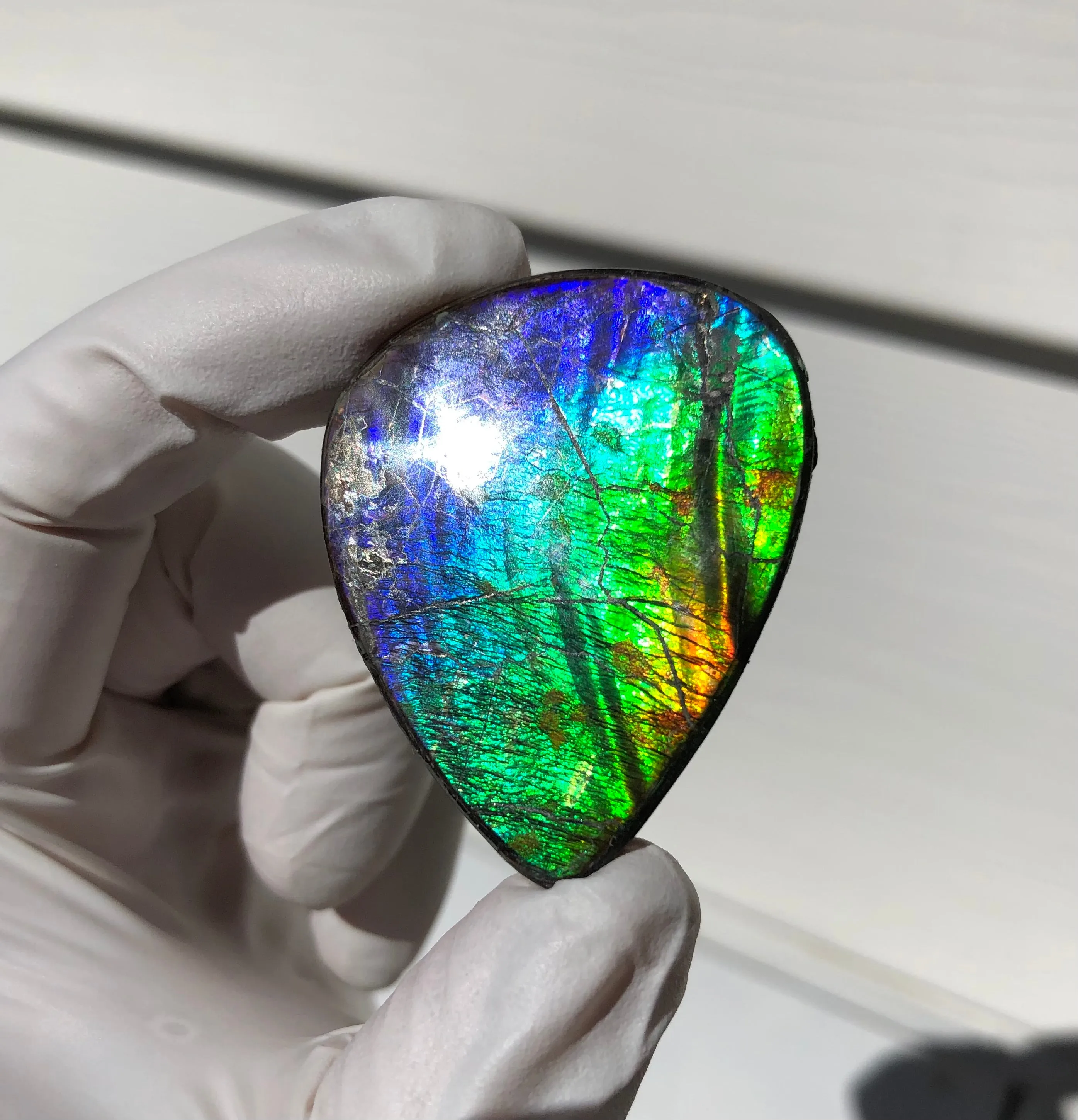 Natural hand polished, Free Form . FFNT169 Ammolite High Grade.