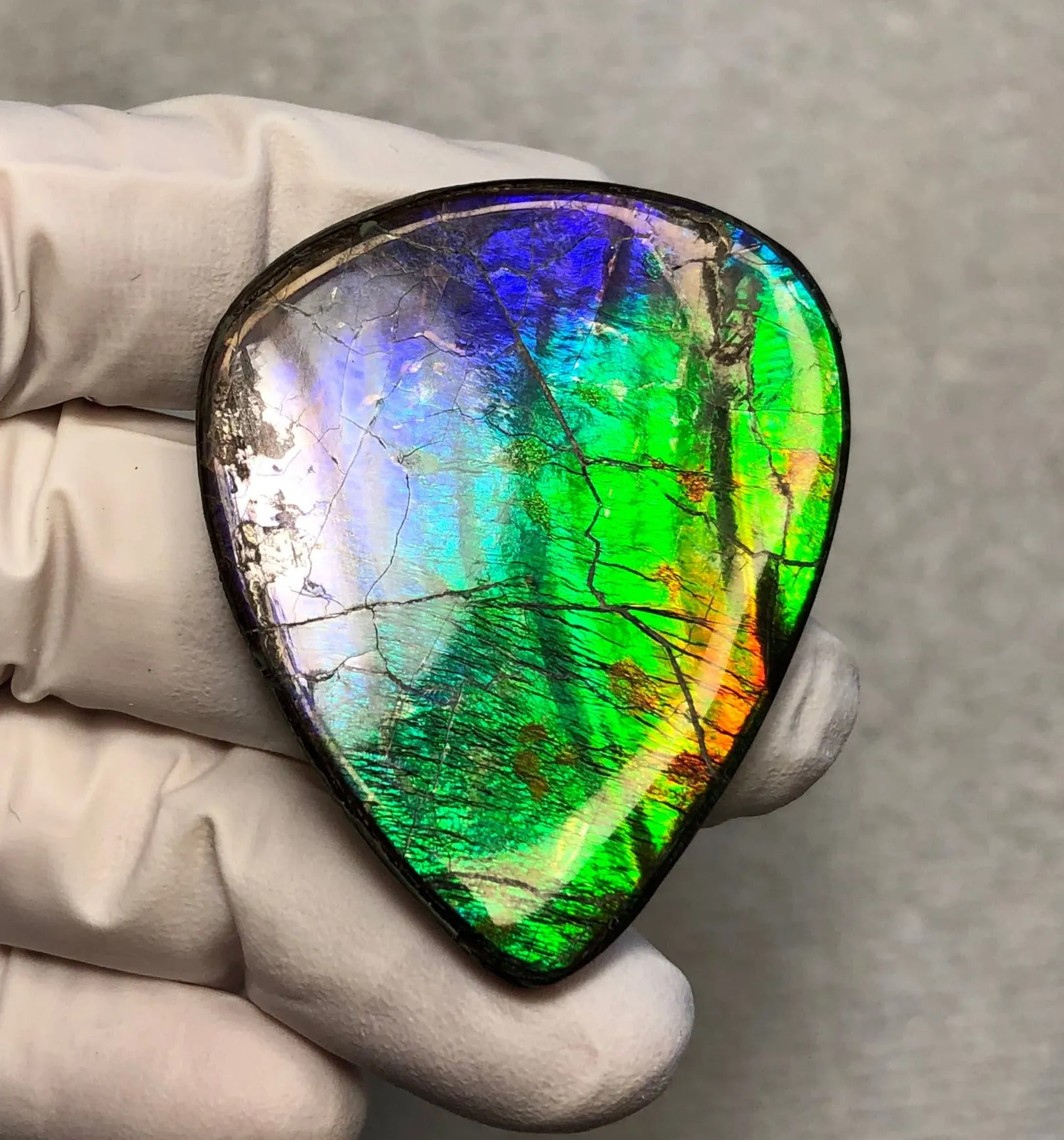 Natural hand polished, Free Form . FFNT169 Ammolite High Grade.