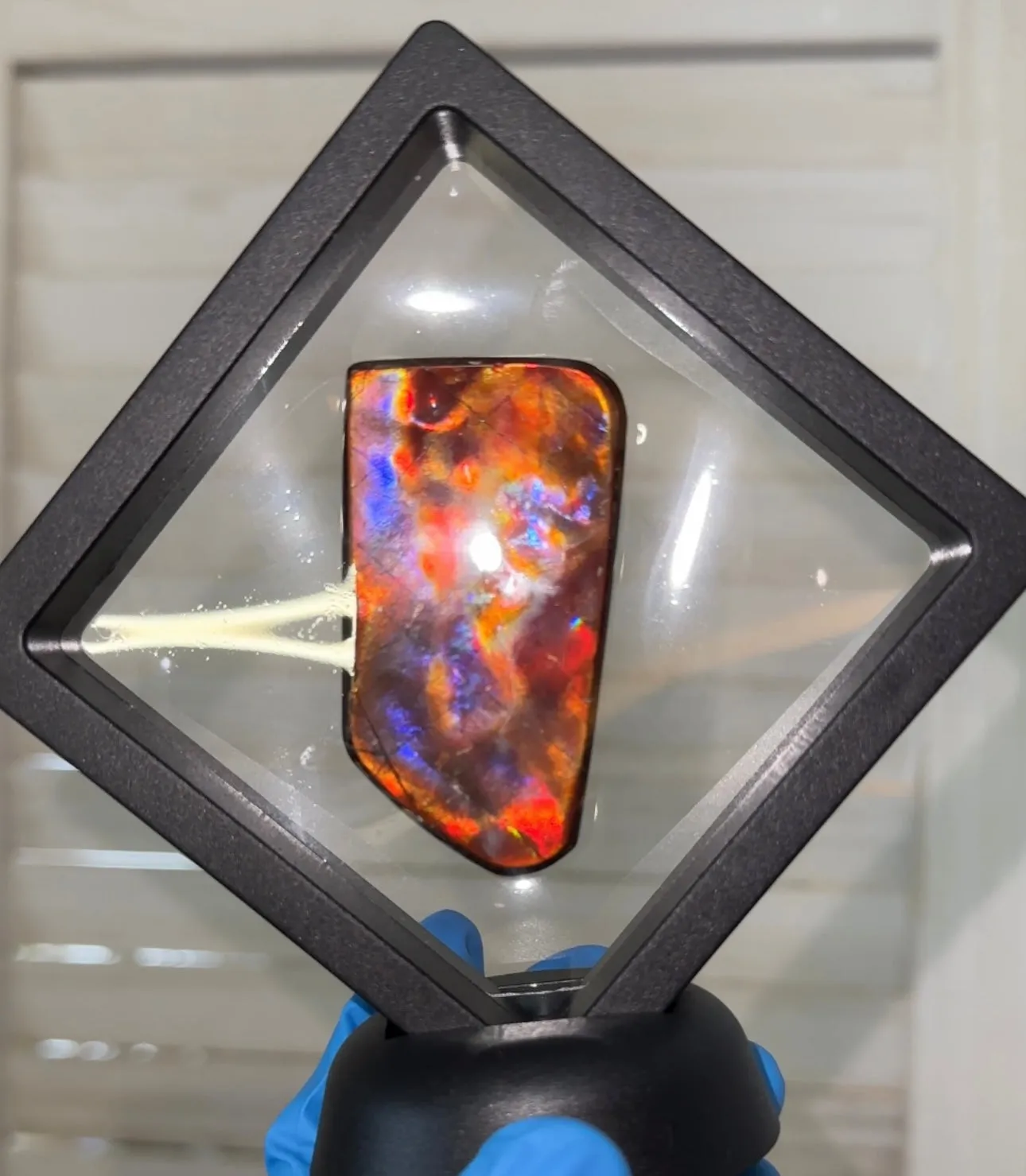 Natural hand polished, Free Form . FFNT175 Ammolite High Grade.