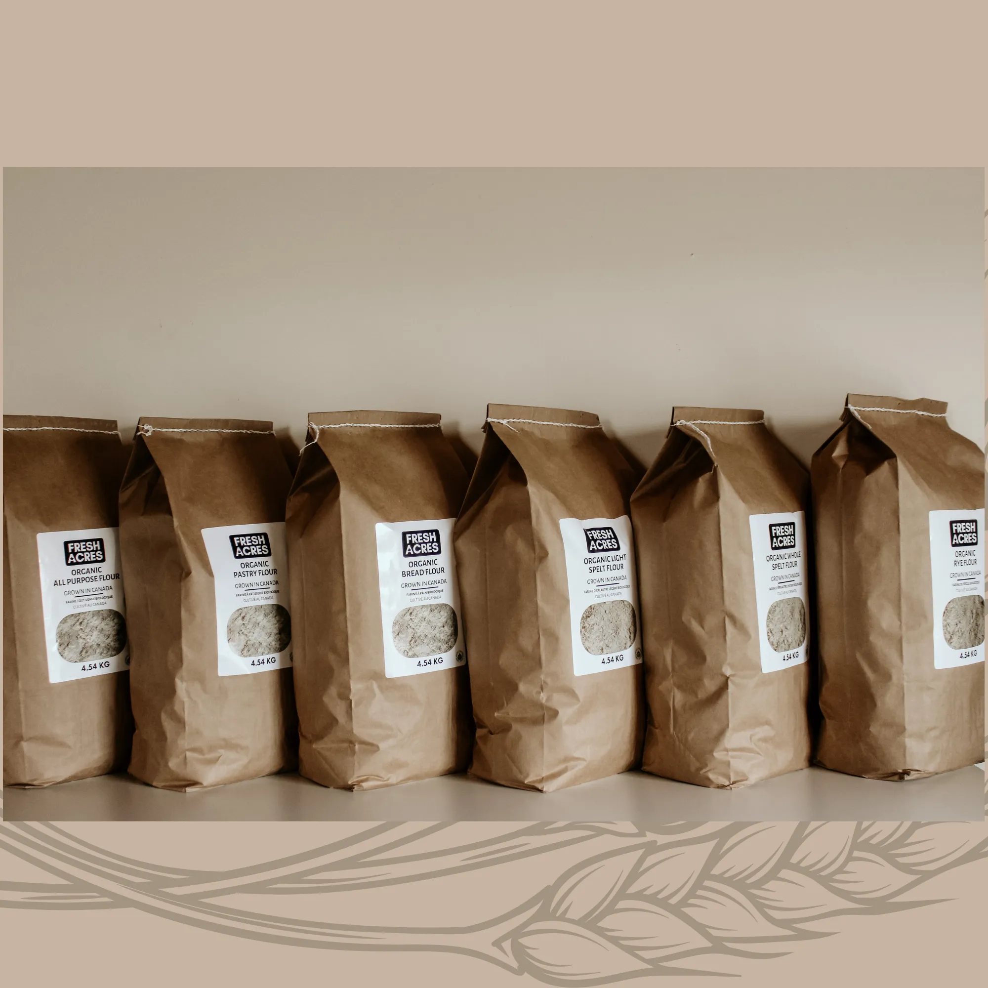 Organic Whole Spelt Flour - 4.54kg (10lb)