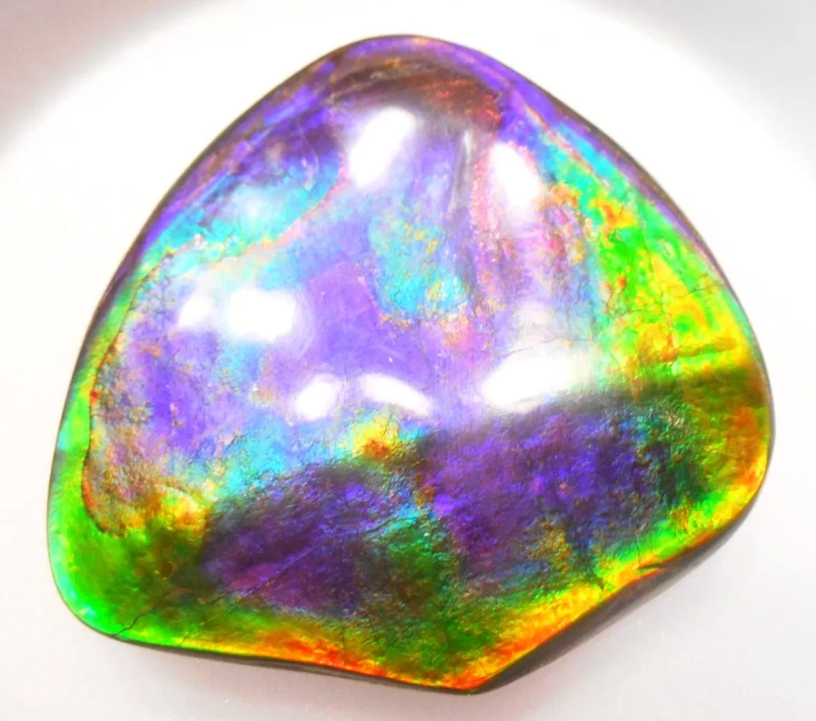Rare PINK with Gorgeous Colors COLLECTOR STONE  64 x 61 mm　Natural Ammolite - Feng Shui CS-104 ナチュラル　コレクション　ディスプレイピース