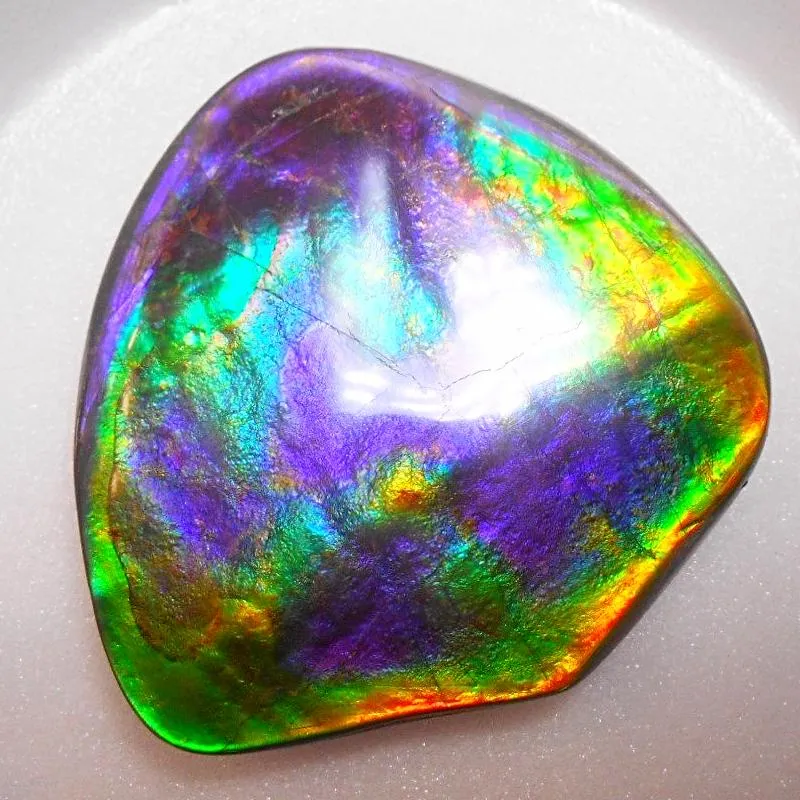 Rare PINK with Gorgeous Colors COLLECTOR STONE  64 x 61 mm　Natural Ammolite - Feng Shui CS-104 ナチュラル　コレクション　ディスプレイピース