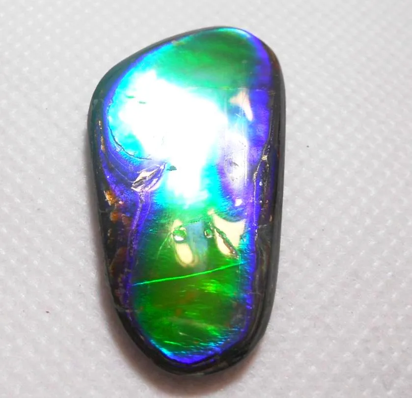 SALE 30% OFF !  42 x 24 mm  Natural  Free Form . FFN 260  Ammolite   ナチュラル　ルース　アンモライト フリーフォーム