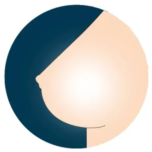 SE  Breast Option - Hollow Breasts