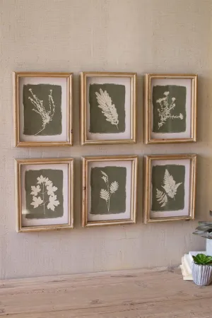 Set of 6 Fern Prints Under Glass