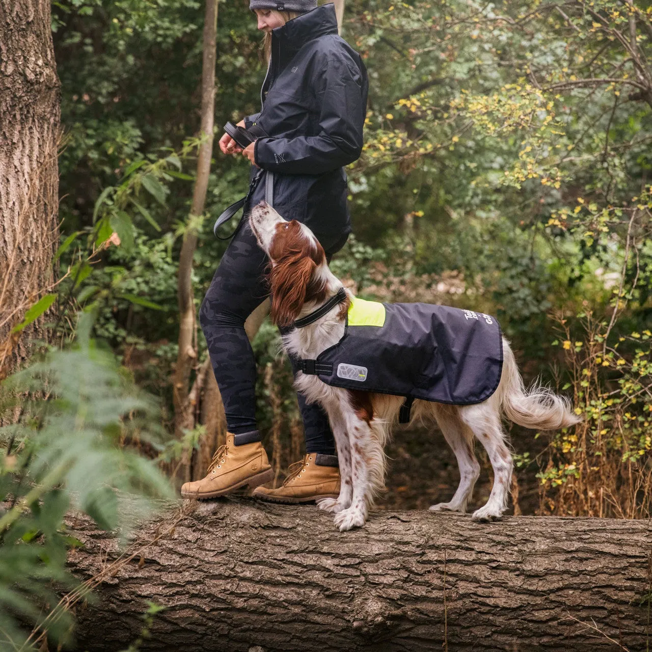 tails.com X Gill Dog Coat