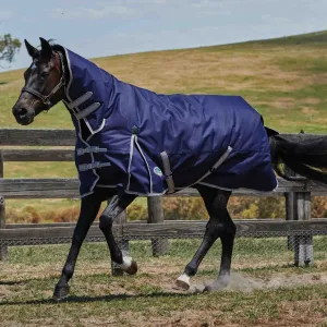 Weatherbeeta Comfitec Essential Combo Neck Turnout Blanket - Medium 220g
