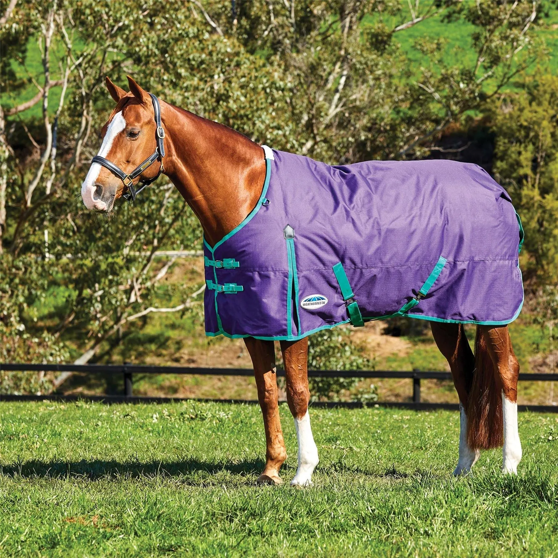 Weatherbeeta Comfitec Ultra Cozi Dog Coat Medium/Lite